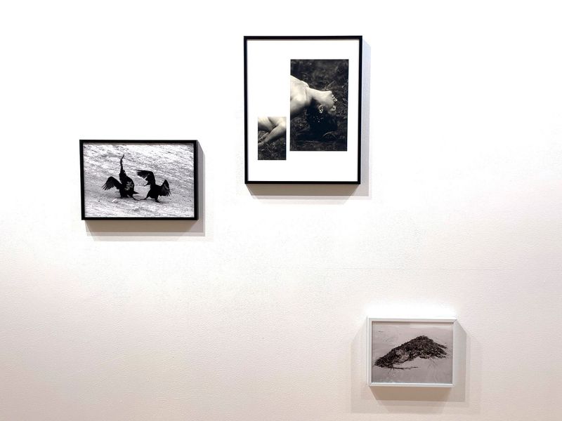 © Melissa Catanese - Installation image at Light Work, Syracuse, 2022