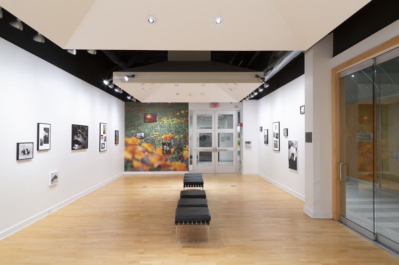 © Melissa Catanese - Installation image at Light Work, Syracuse, 2022