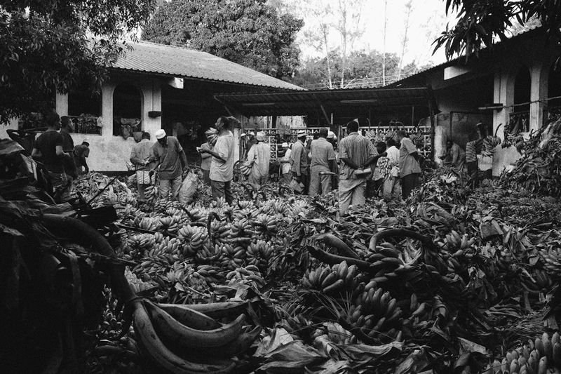 © Ania Gruca - Image from the Zanzibar, A Tale Beyond Fiction photography project