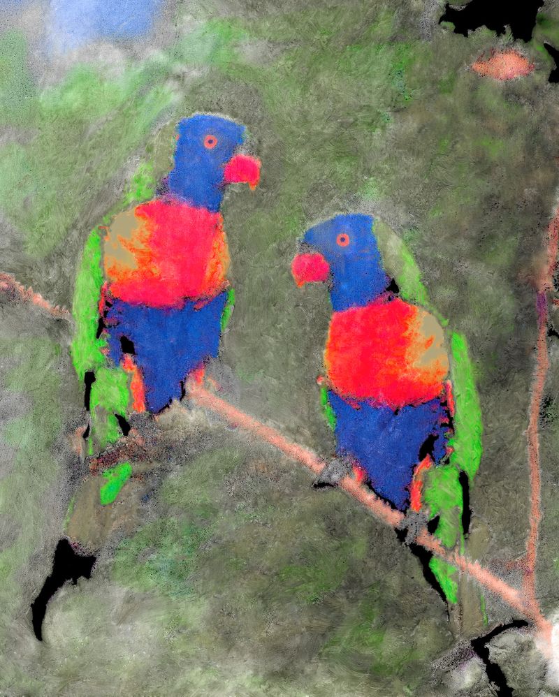 © Gregory Eddi Jones - Parrot Talk