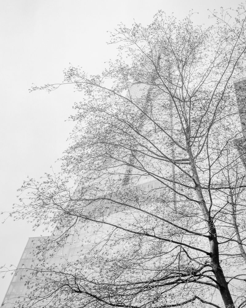 © Sybren Vanoverberghe - Image from the 2099 photography project