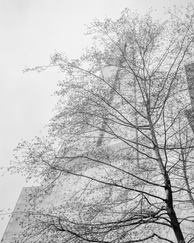 © Sybren Vanoverberghe - Image from the 2099 photography project