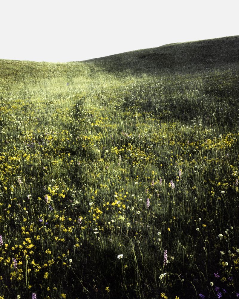 © Sybren Vanoverberghe - Image from the 2099 photography project
