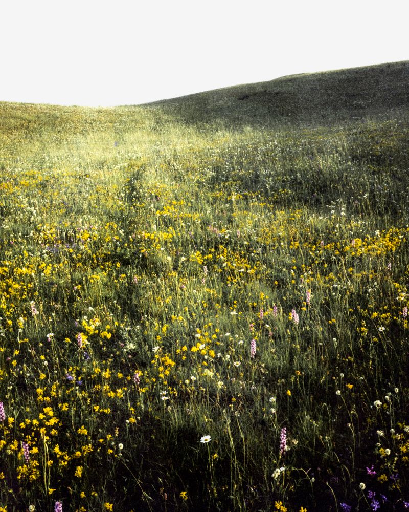 © Sybren Vanoverberghe - Image from the 2099 photography project