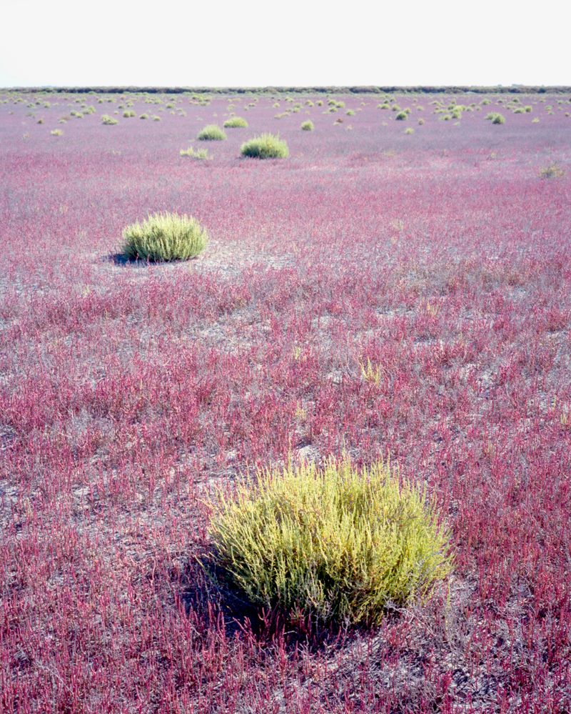 © Sybren Vanoverberghe - Image from the 2099 photography project