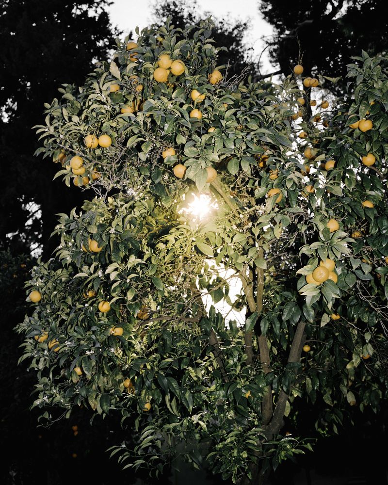 © Sybren Vanoverberghe - Image from the 2099 photography project