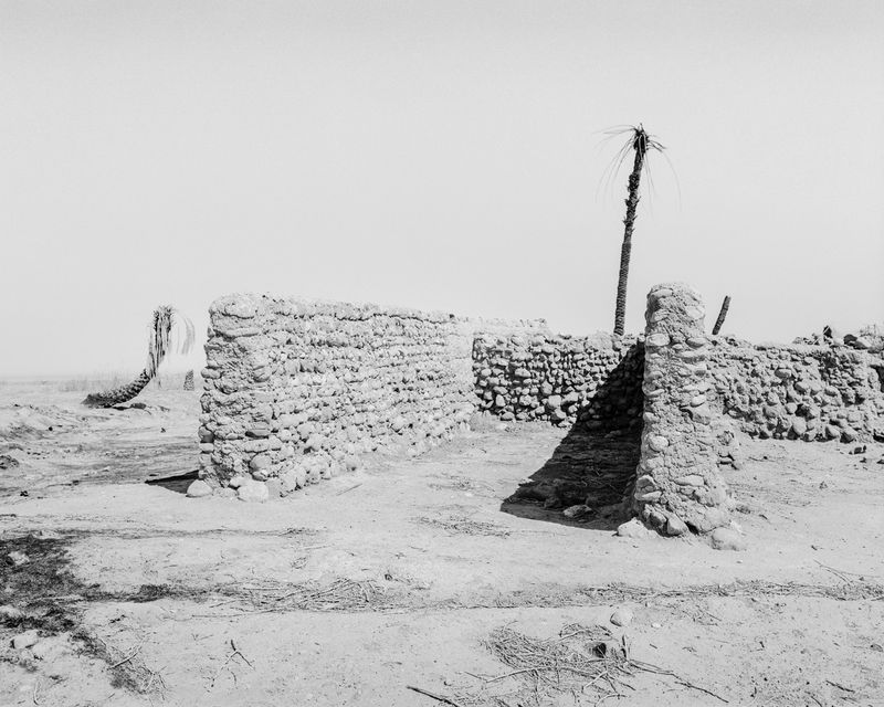 © Sybren Vanoverberghe - Image from the Birds No Longer Sing photography project