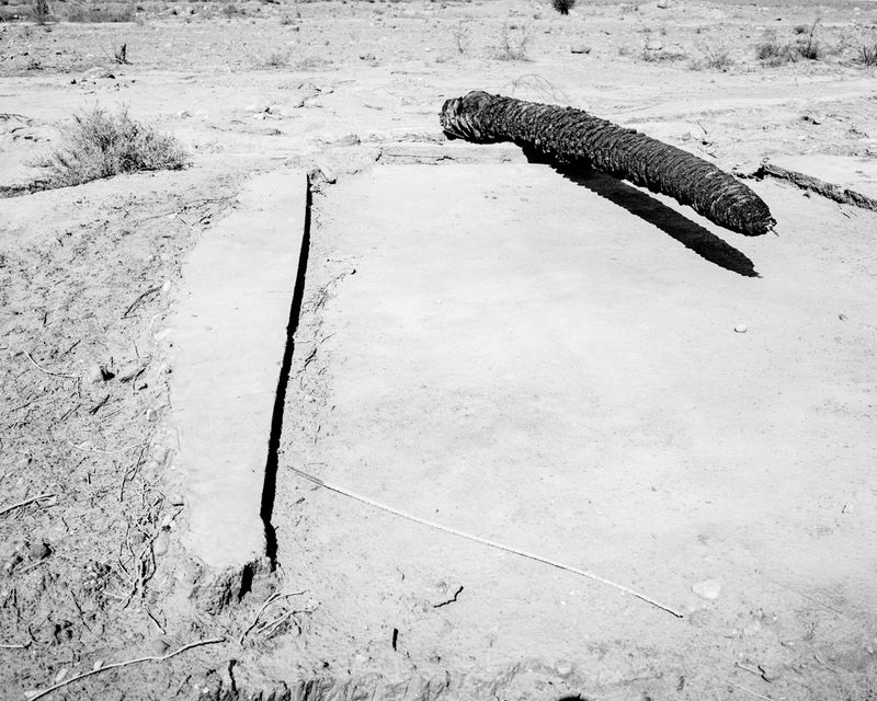 © Sybren Vanoverberghe - Image from the Birds No Longer Sing photography project