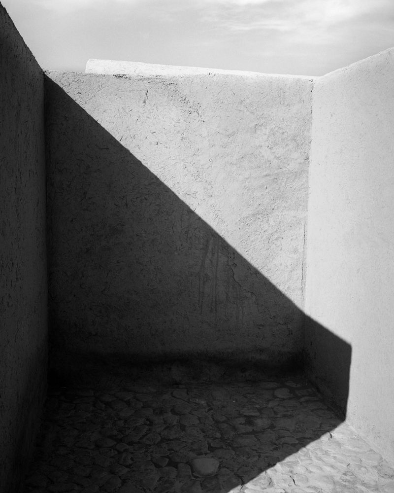 © Sybren Vanoverberghe - Image from the Birds No Longer Sing photography project