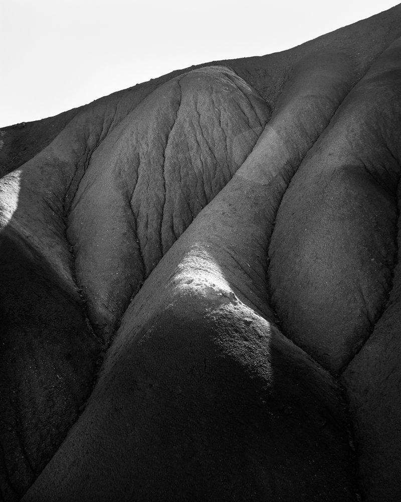 © Sybren Vanoverberghe - Image from the Birds No Longer Sing photography project