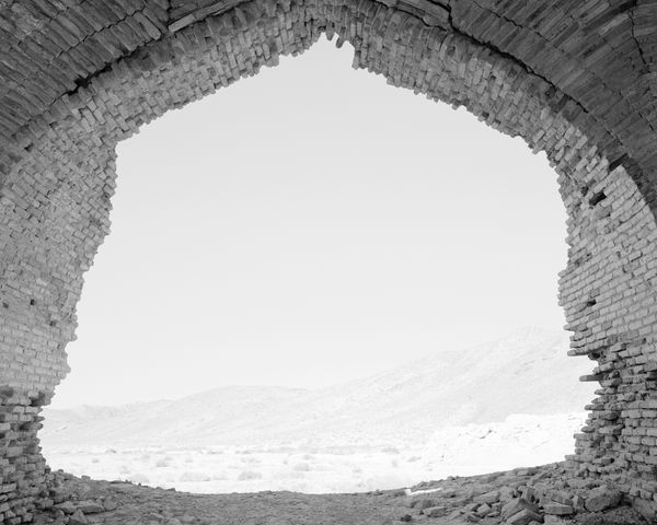 © Sybren Vanoverberghe - Image from the Birds No Longer Sing photography project