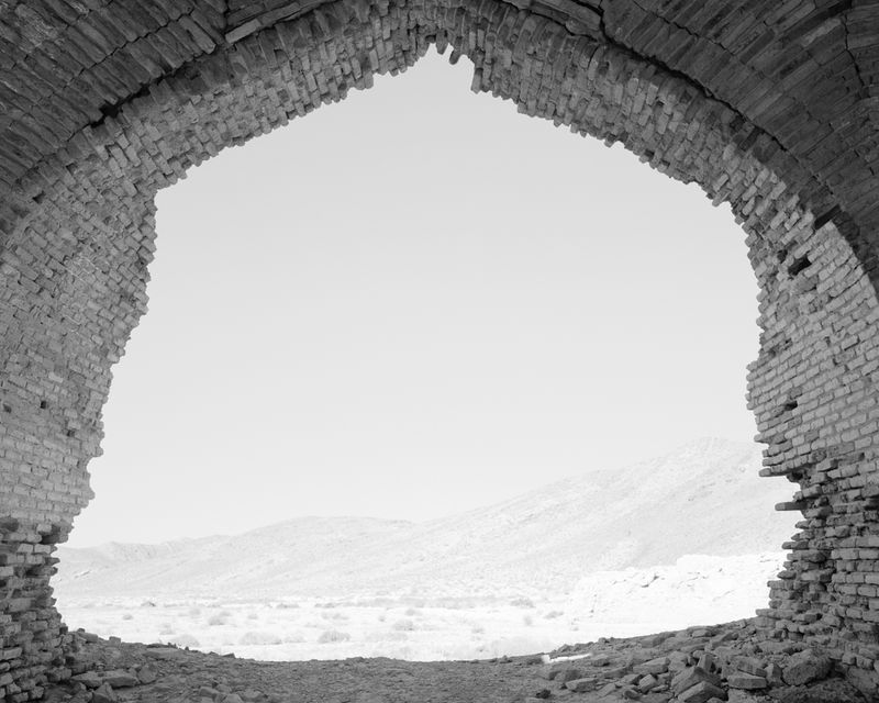 © Sybren Vanoverberghe - Image from the Birds No Longer Sing photography project