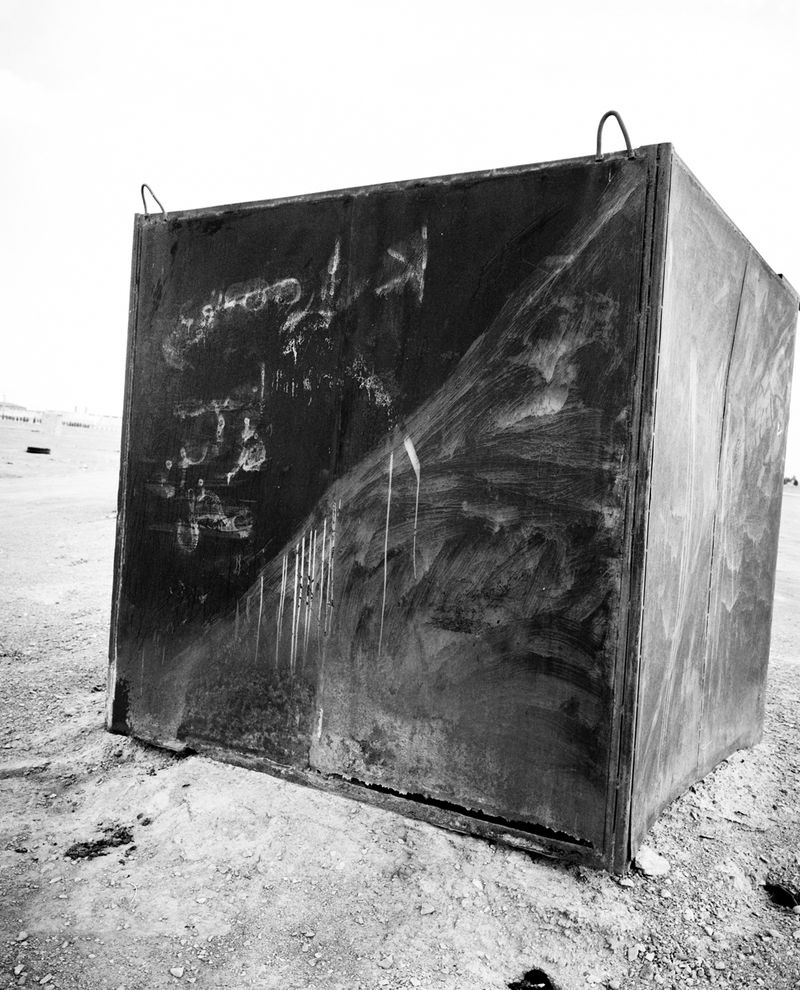 © Sybren Vanoverberghe - Image from the Birds No Longer Sing photography project