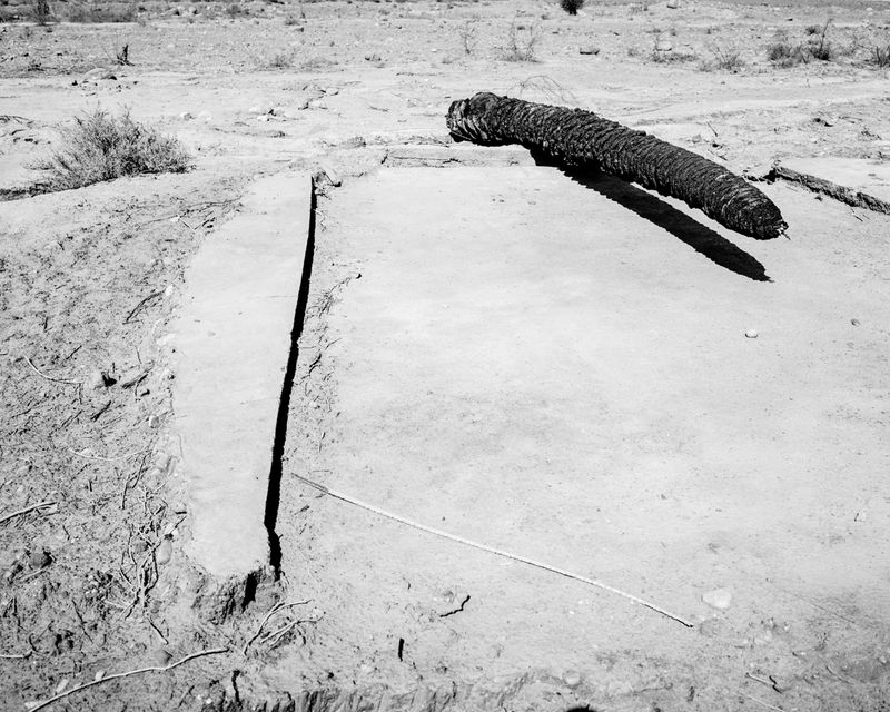 © Sybren Vanoverberghe - Image from the Birds No Longer Sing photography project