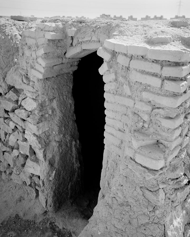 © Sybren Vanoverberghe - Image from the Birds No Longer Sing photography project