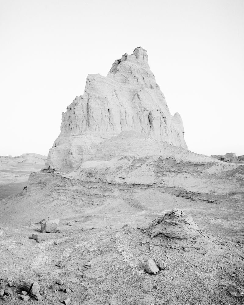 © Sybren Vanoverberghe - Image from the Birds No Longer Sing photography project