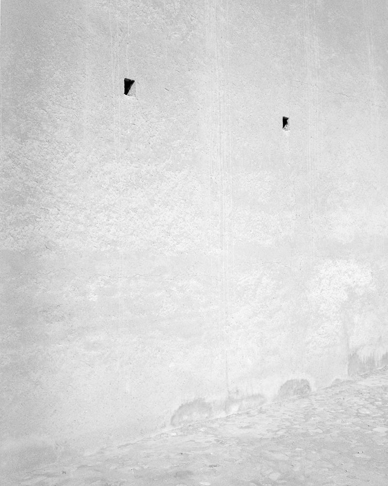 © Sybren Vanoverberghe - Image from the Birds No Longer Sing photography project