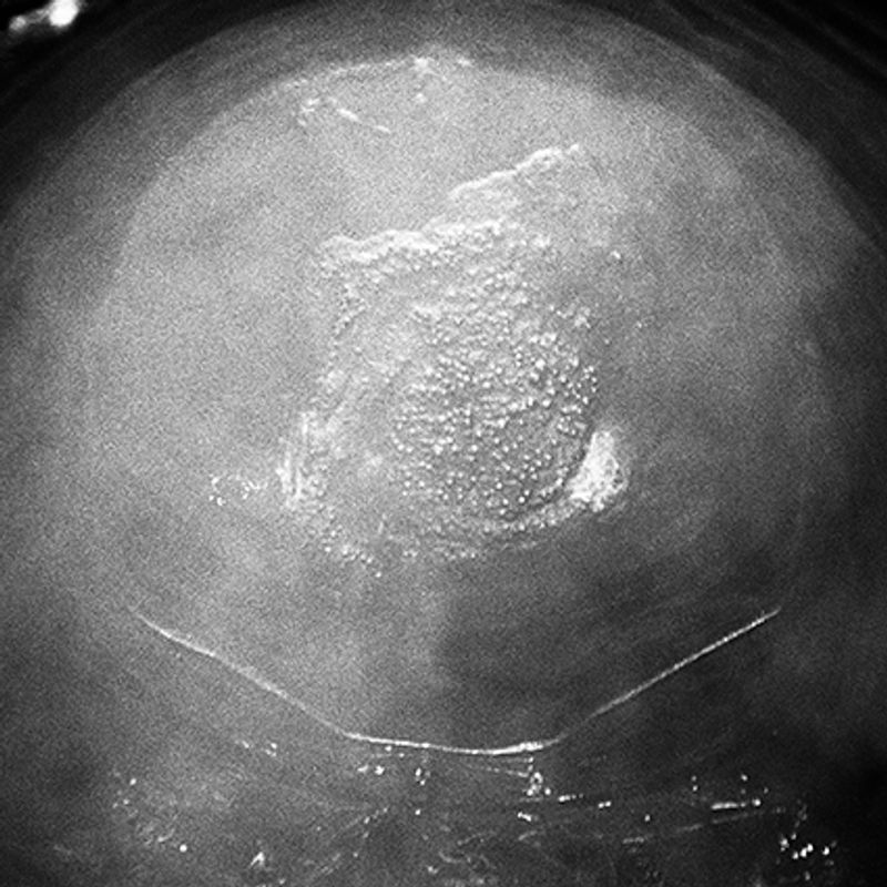 © Mohammad zahedi - Image from the The Earth Eve photography project