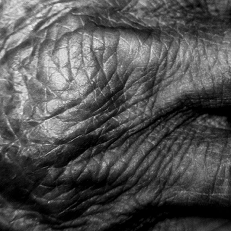 © Mohammad zahedi - Image from the The Earth Eve photography project