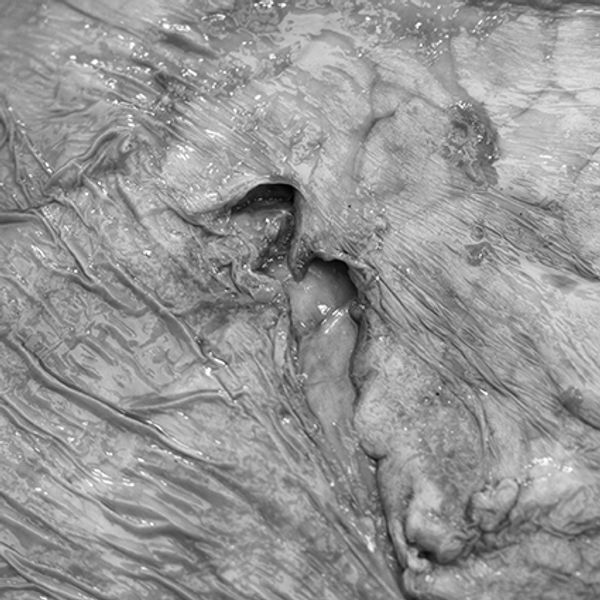 © Mohammad zahedi - Image from the The Earth Eve photography project