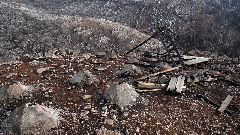 © Zaklina Anderson - Image from the Charred Beauty photography project