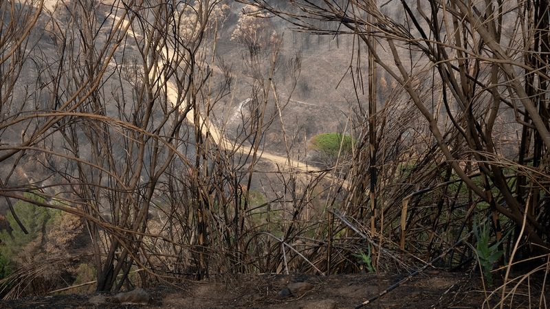 © Zaklina Anderson - Image from the Charred Beauty photography project