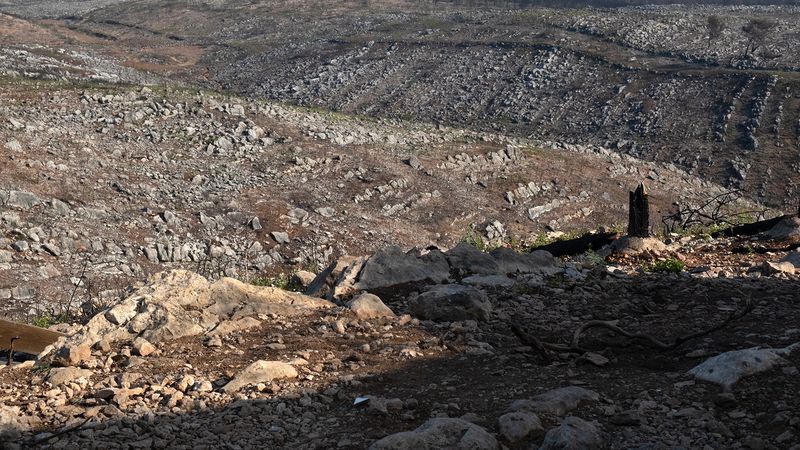 © Zaklina Anderson - Image from the Charred Beauty photography project