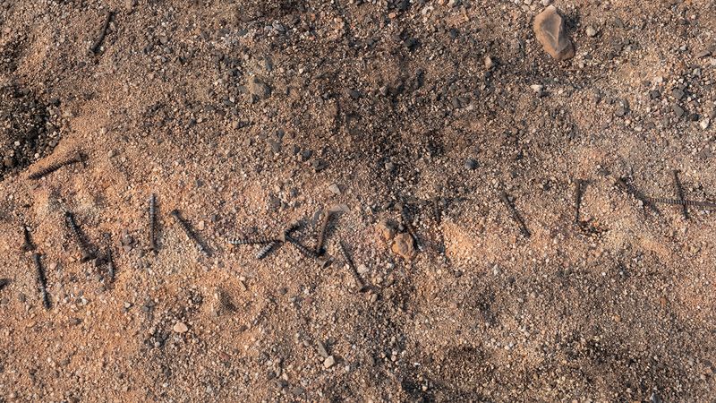 © Zaklina Anderson - Image from the Charred Beauty photography project