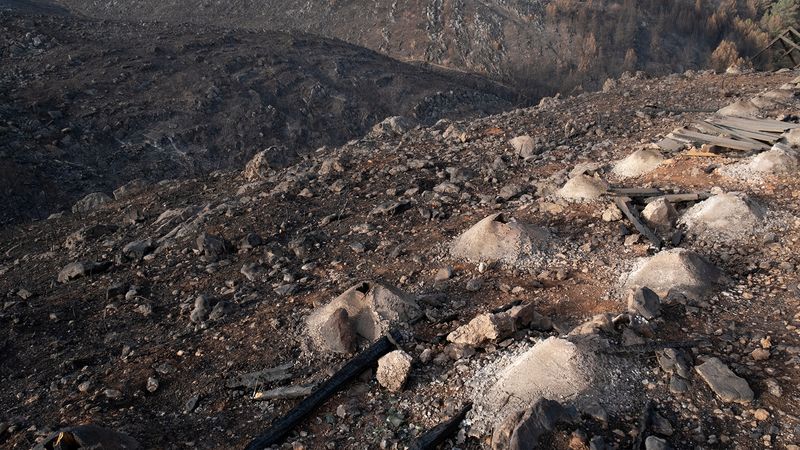 © Zaklina Anderson - Image from the Charred Beauty photography project