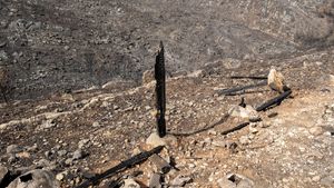 Charred Beauty
