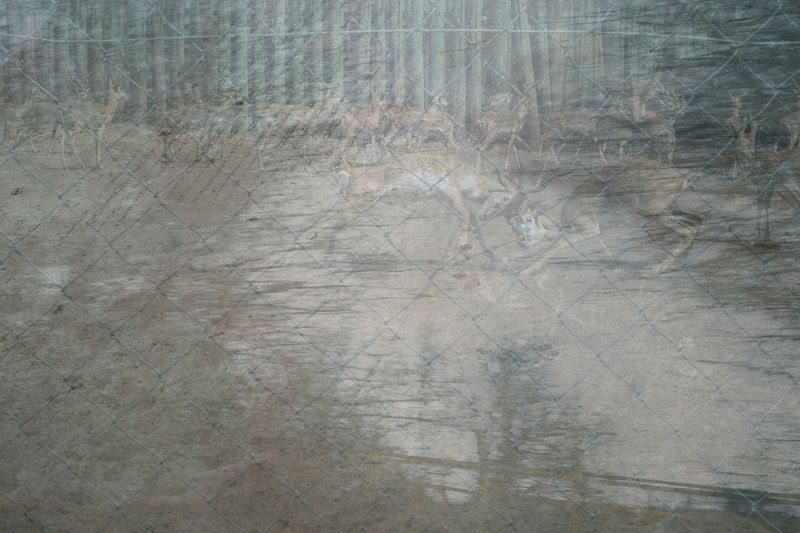 © Zaklina Anderson - Image from the Who are you? photography project