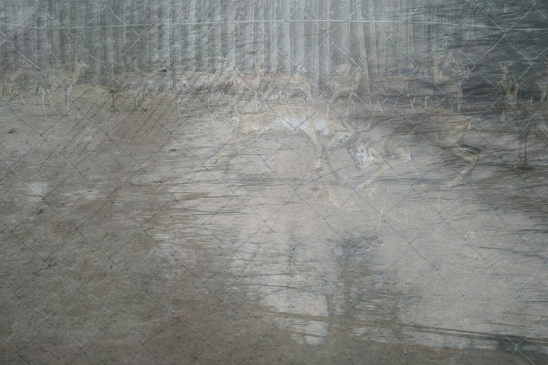 © Zaklina Anderson - Image from the Who are you? photography project