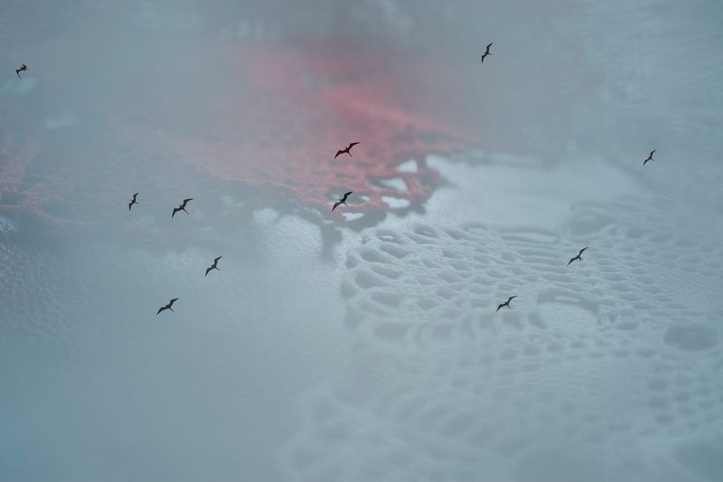 © Zaklina Anderson - Image from the Who are you? photography project