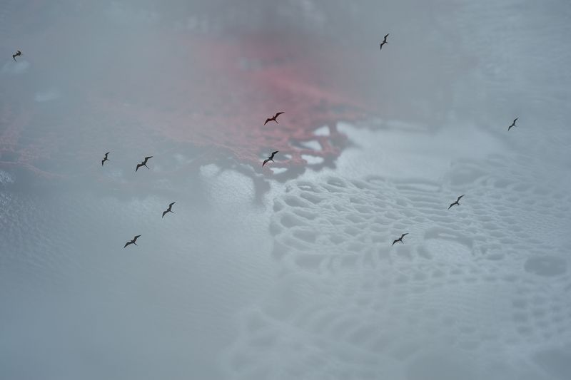 © Zaklina Anderson - Image from the Who are you? photography project