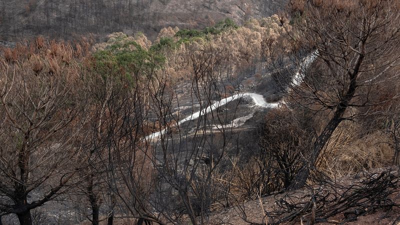 © Zaklina Anderson - Image from the Charred Beauty photography project