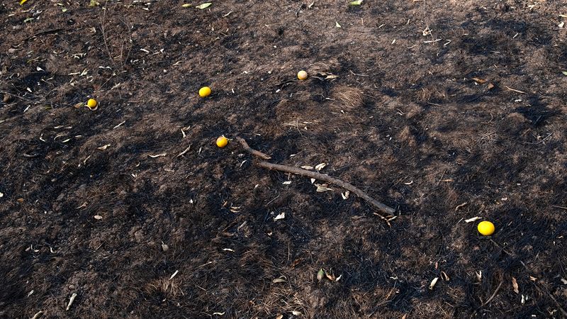 © Zaklina Anderson - Image from the Charred Beauty photography project