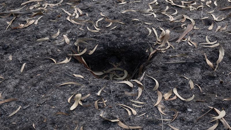 © Zaklina Anderson - Image from the Charred Beauty photography project