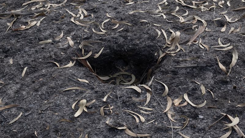 © Zaklina Anderson - Image from the Charred Beauty photography project