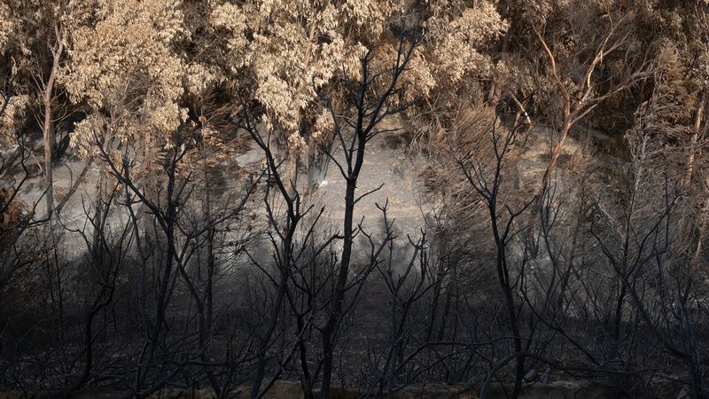 © Zaklina Anderson - Image from the Charred Beauty photography project