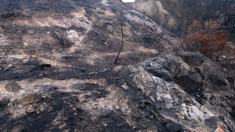 © Zaklina Anderson - Image from the Charred Beauty photography project