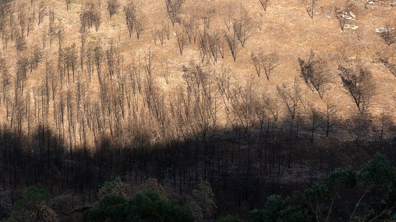 © Zaklina Anderson - Image from the Charred Beauty photography project