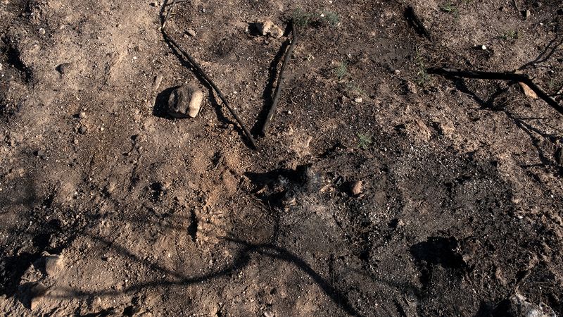 © Zaklina Anderson - Image from the Charred Beauty photography project