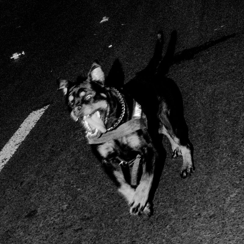 © Myriam Boulos - Image from the What's ours photography project