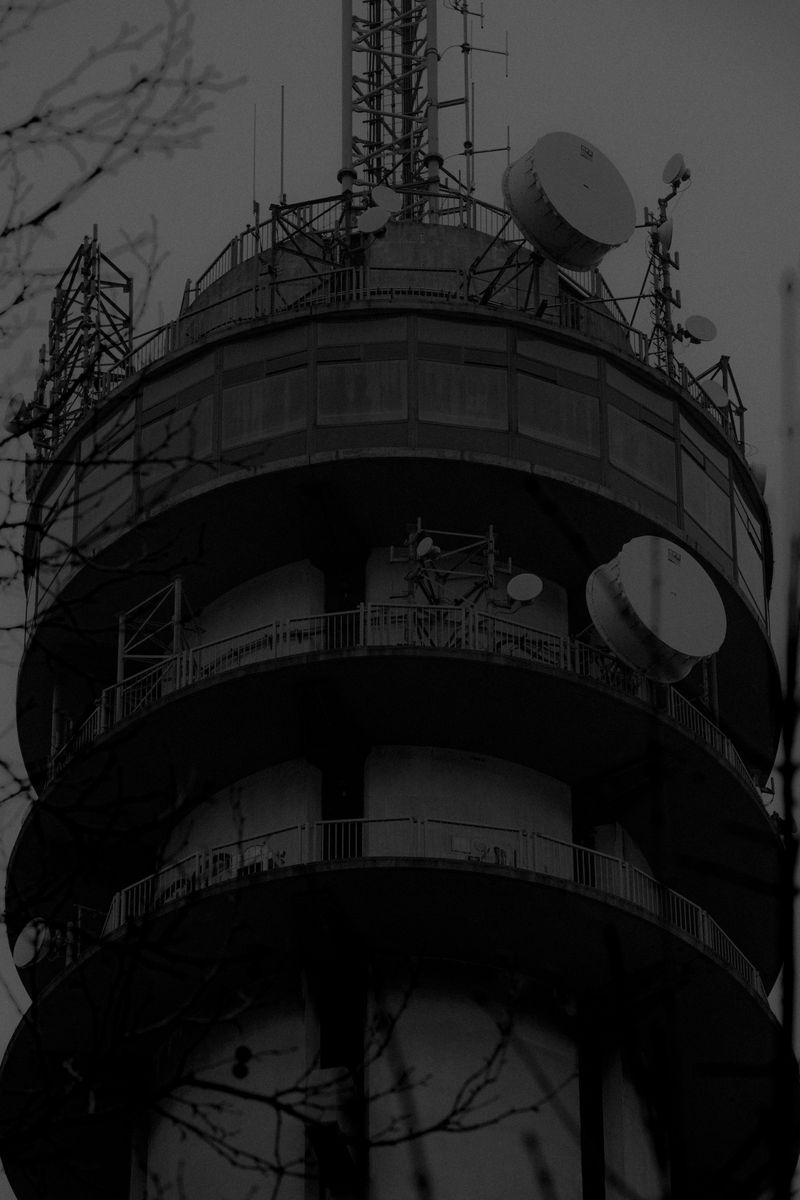 © Rafael Roncato - Image from the The Wireless Anatomy of Man photography project