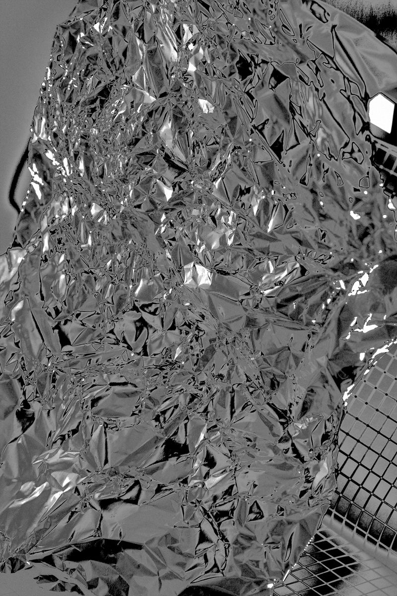 © Rafael Roncato - Image from the The Wireless Anatomy of Man photography project