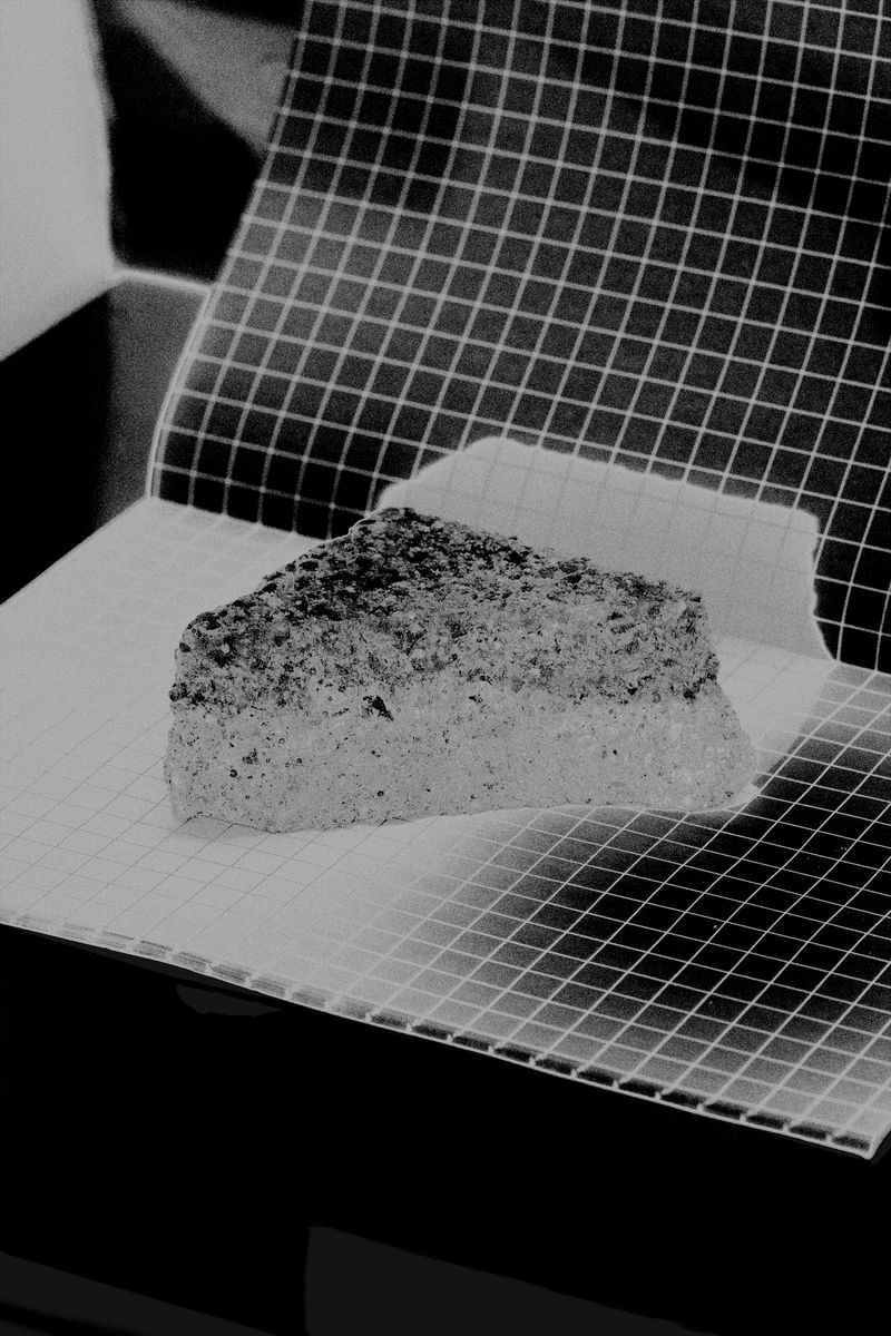 © Rafael Roncato - Image from the The Wireless Anatomy of Man photography project