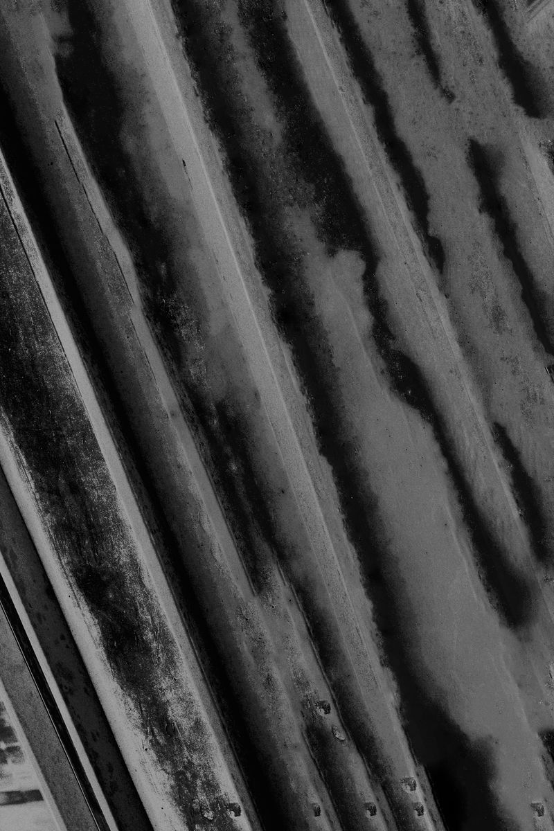 © Rafael Roncato - Image from the The Wireless Anatomy of Man photography project