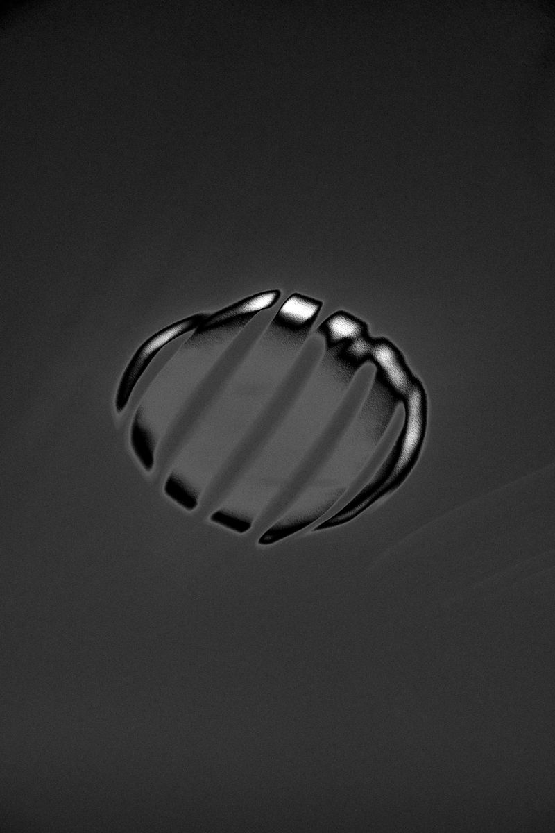 © Rafael Roncato - Image from the The Wireless Anatomy of Man photography project