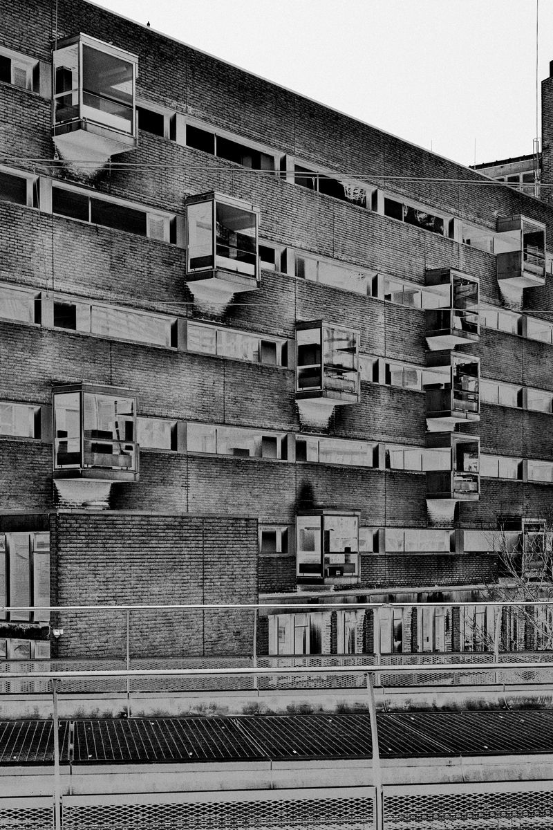 © Rafael Roncato - Image from the The Wireless Anatomy of Man photography project