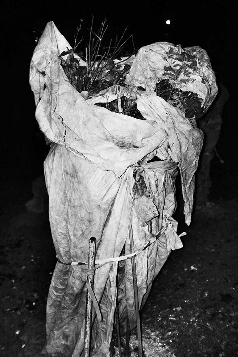 © Sara Zanella - Image from the The Way Home, Russia photography project